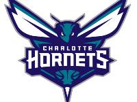 37 team